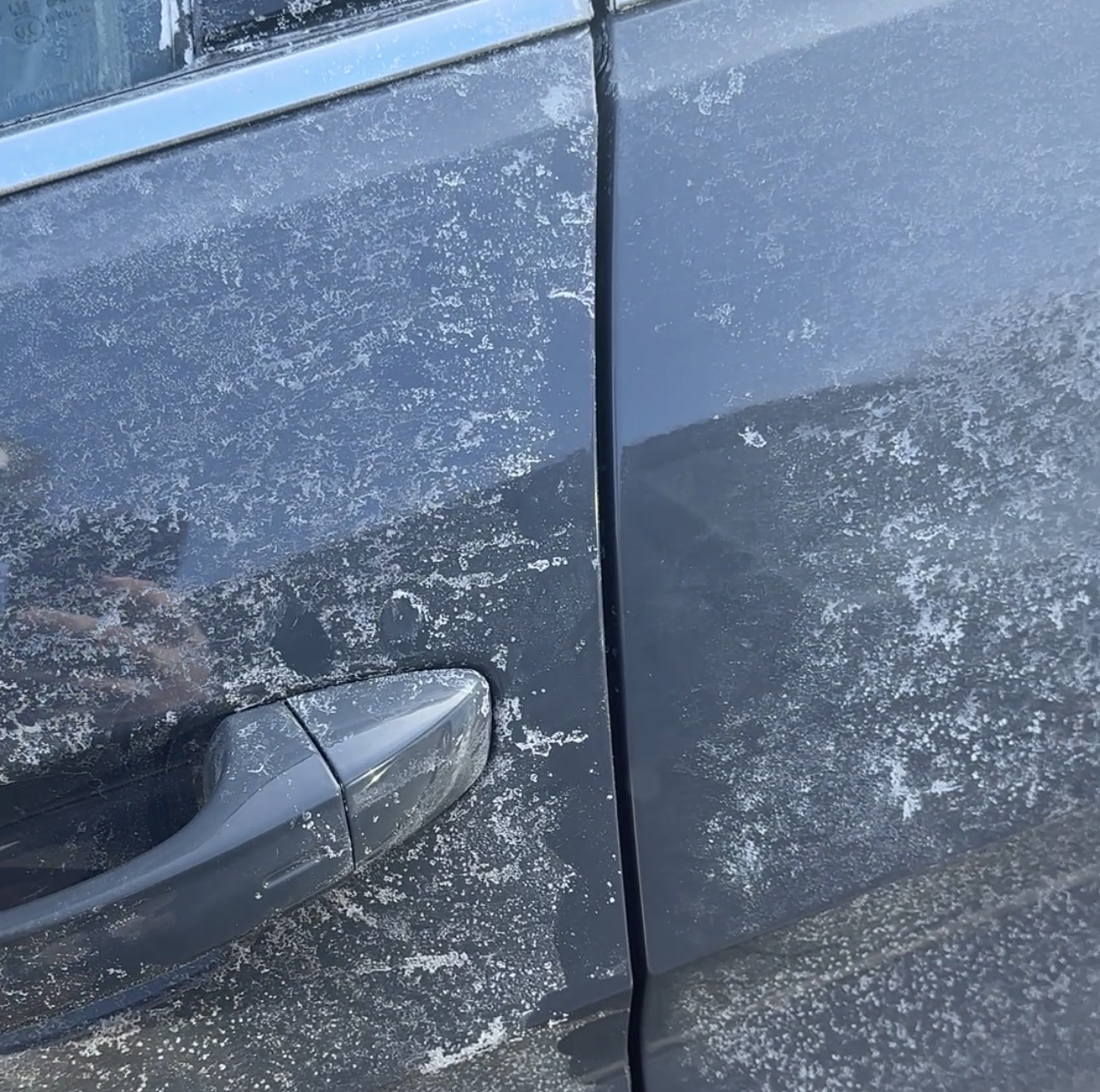 recording of myself opening and closing a car door