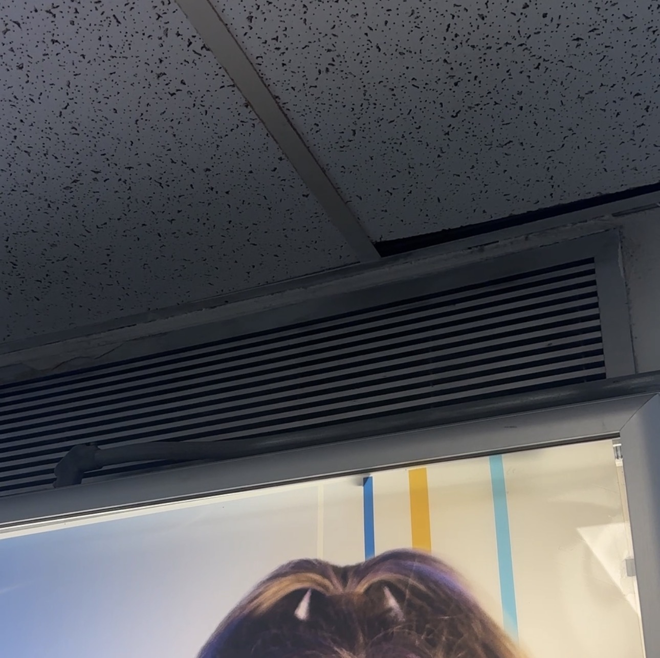 recording of a vent near the AAA wing entrace